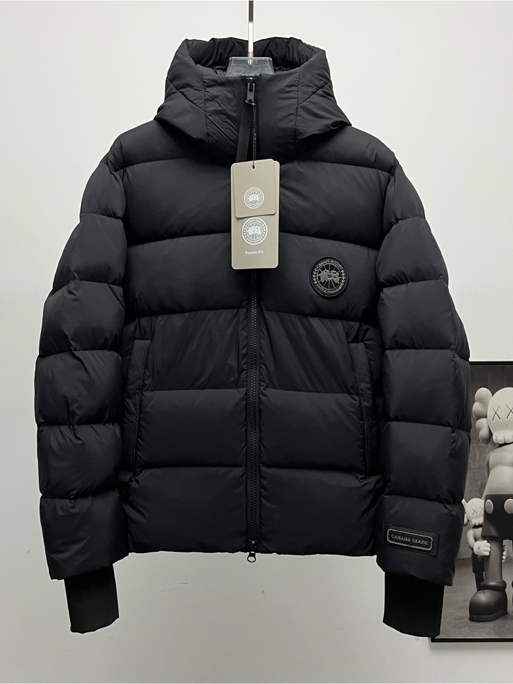 Canada Goose Black Down Puffer Jacket with Hood